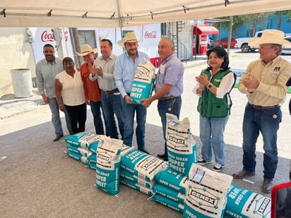sorgo forrajero