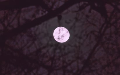 Luna Rosa 2026