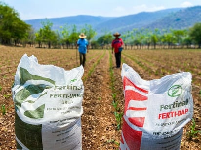 Precios de fertilizantes suben más de 50% en un año y amenazan producción agrícola
