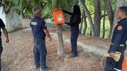 SEGURIDAD Protección Civil y Bomberos instalaron 20 dispositivos de auxilio en el Río Sabinas para garantizar la seguridad de visitantes y prevenir