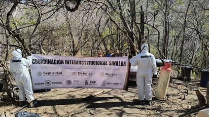 seguridad
