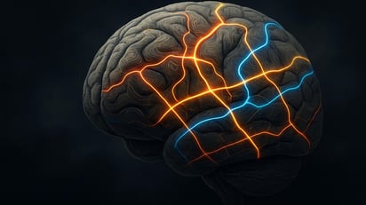 Vivir en ciertos lugares acelera o frena el envejecimiento del cerebro