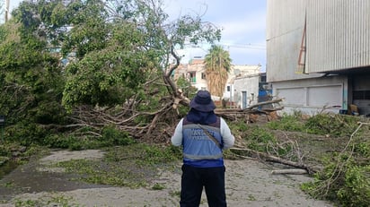 LLUVIAS Desde el inicio de las precipitaciones se activaron los protocolos de vigilancia y respuesta. Torreón, Coahuila a 5 de abril de 2026.- El director