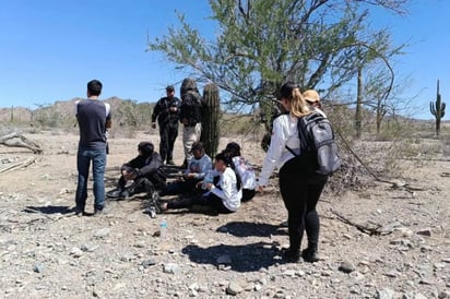 Colectivos localizan más de 30 osamentas en Sonora