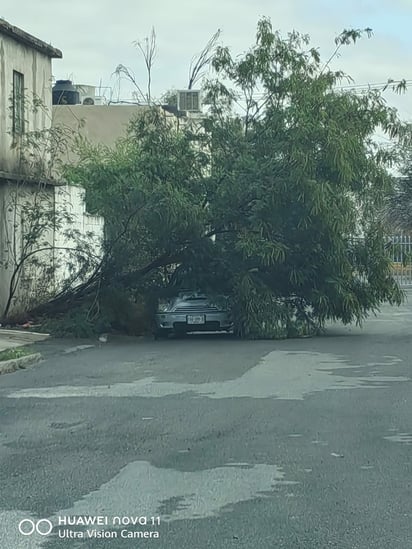 Clima