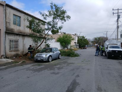 Clima