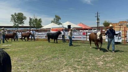 GANADERÍA Del 16 al 20 de abril, Múzquiz será sede de la Expoasis Ganadera 2026 con cabalgata, subasta, rodeo, música en vivo y actividades que impulsan la tradición