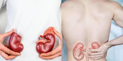 ENFERMEDADES ENFERMEDADES