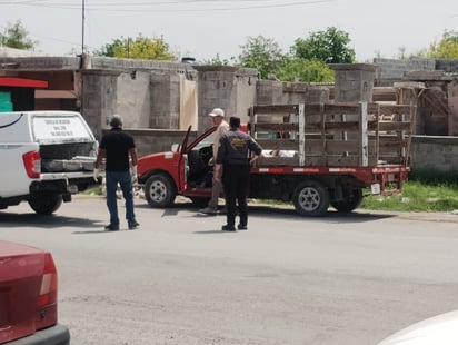 Seguridad 