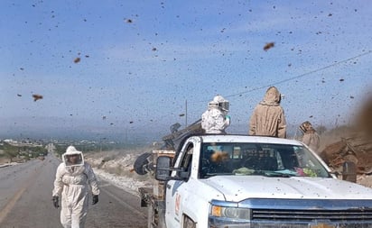 seguridad