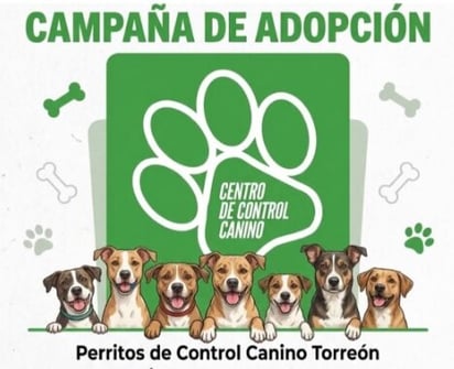 ADOPCIÓN DE PERRITOS Torres Ugarte enfatizó en que adoptar no solo cambia la vida de un animal en situación vulnerable  Torreón, Coahuila a 17 de abril de 2026. El Centro
