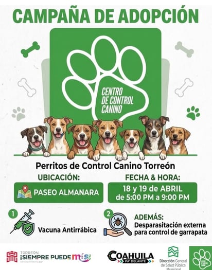 adopción de perritos