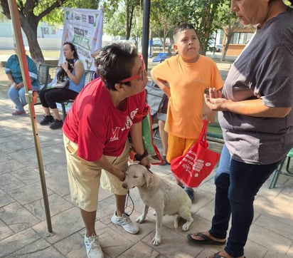Mascotas