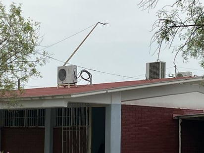 Altas temperaturas