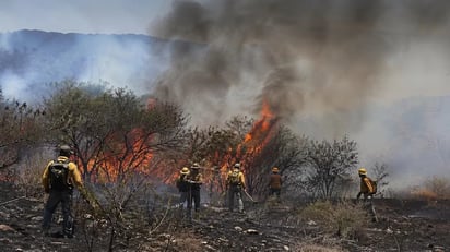 Sofocan incendio forestal en Matehuala tras cinco días de combate