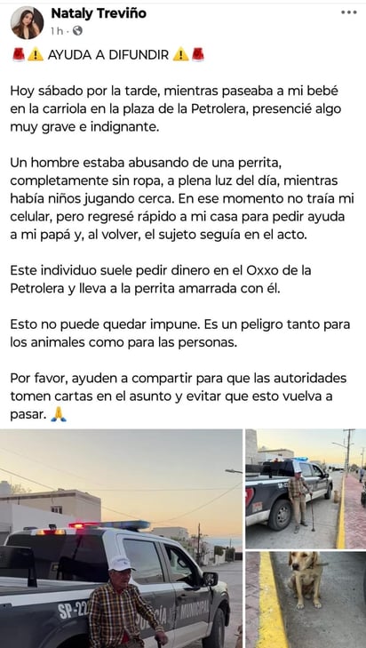 Seguridad 