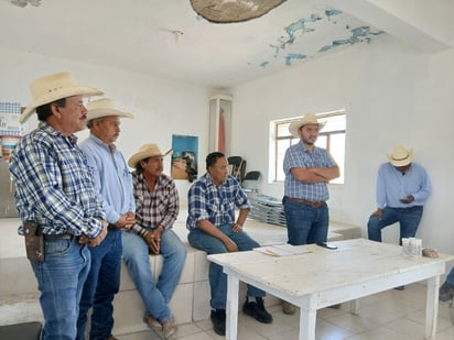 gusano barrenador