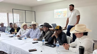 gusano barrenador