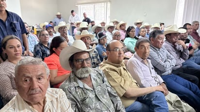 gusano barrenador