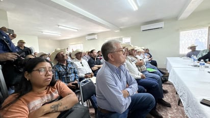 gusano barrenador