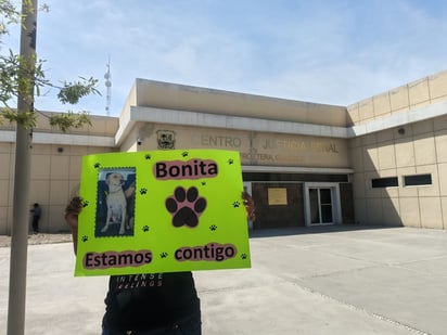 bonita 