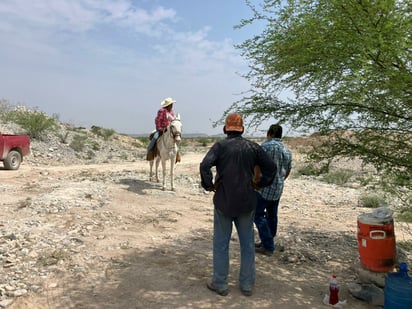 Ganado