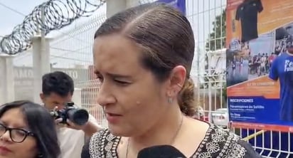 Reformas: El Tribunal Constitucional de Coahuila determinó que la violencia vicaria aplicará exclusivamente en favor de las mujeres.