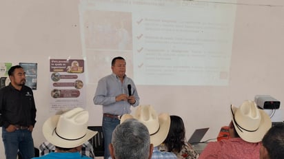 gusano barrenador