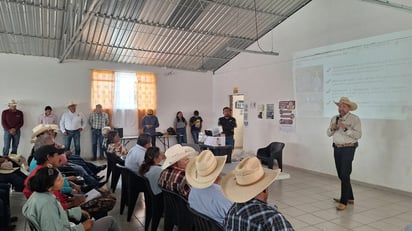 gusano barrenador