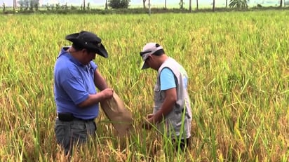 Agricultura Agricultura