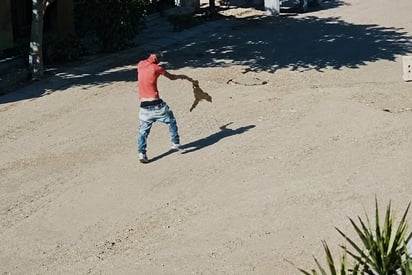 Gilberto Ortiz: El incidente ocurrió en el sector Mar Mediterráneo, entre las calles San Antonio y Villa de Herrera.