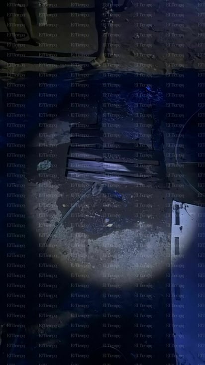 Seguridad 