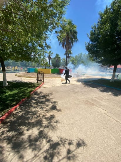 Dengue 