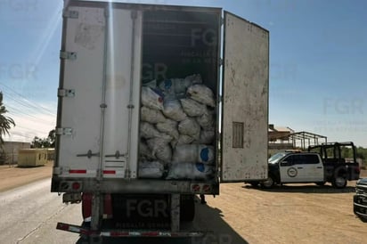 Sonora