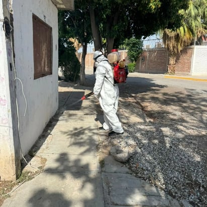 fumigación