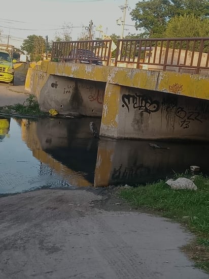 Aguas negras : Los vecinos aseguran que la pestilencia es tan fuerte que incluso se impregna en la ropa y en el interior de las viviendas.