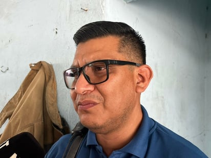  abejas