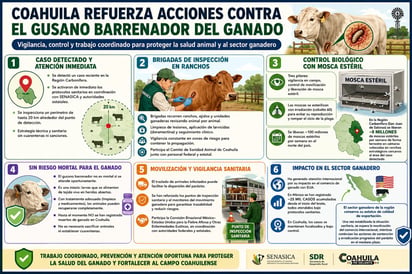 Ganadería