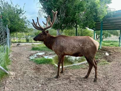 Ecoparque