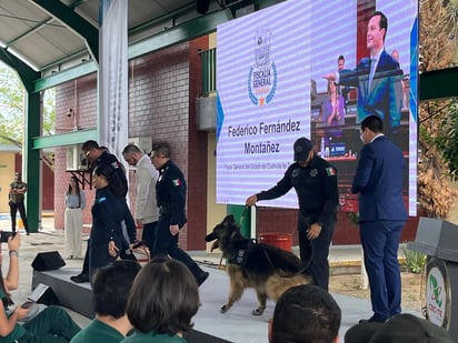 seguridad