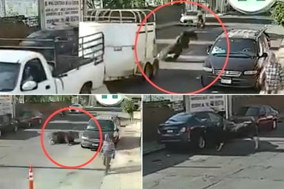 seguridad