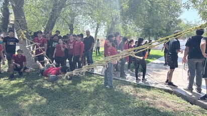 Actividad