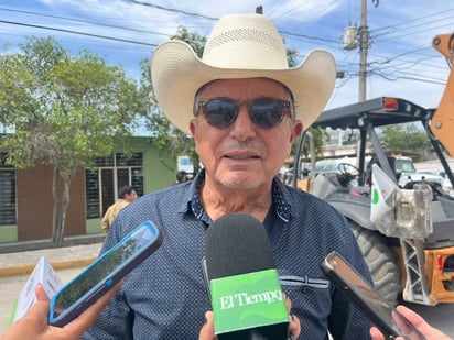 Gusano barrenador