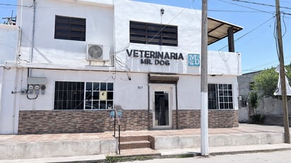 gusano barrenador