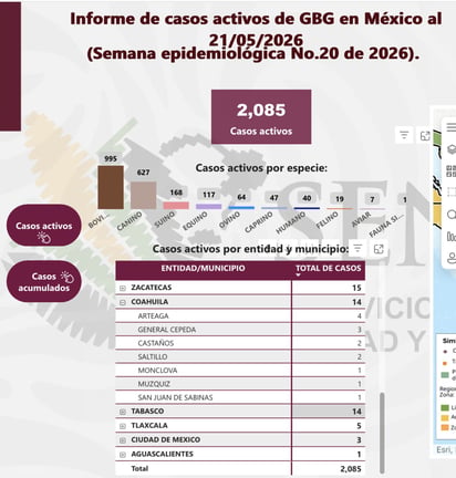 Sanidad: El estado acumula 20 contagios y mantiene 14 casos activos.