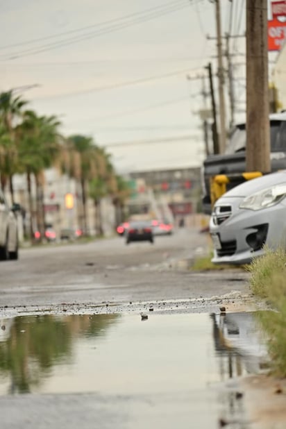 Baches