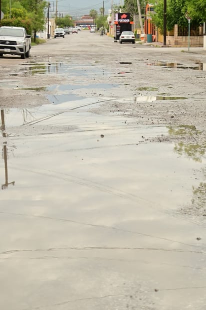 Baches