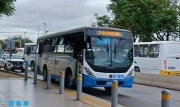 Silveria, viajaba en el camión LE-1029 de la ruta Auxiliar X-04 en León cuando aparentemente se desvaneció.  Los paramédicos intentaron brindarle auxilio