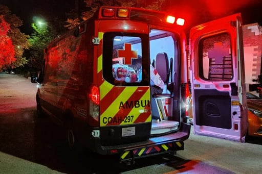 Un niño de 8 años resultó con una herida grave en la pierna tras el ataque de una perra callejera en la colonia Santa Sofía de Torreón.  Un menor