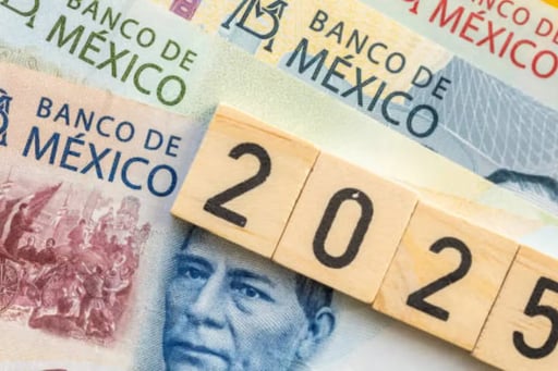 El Diario Oficial de la Federación confirmó que varios sectores del servicio público recibirán 40 días de salario como aguinaldo durante el ejercicio fiscal